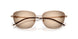 301113 - Gold - Brown Grey Gradient
