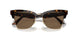 500273 - Brown - Dark Brown
