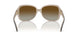 6123T3 - Black - Polar Gradient Brown