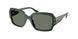 Michael Kors Châtel 2233B Sunglasses