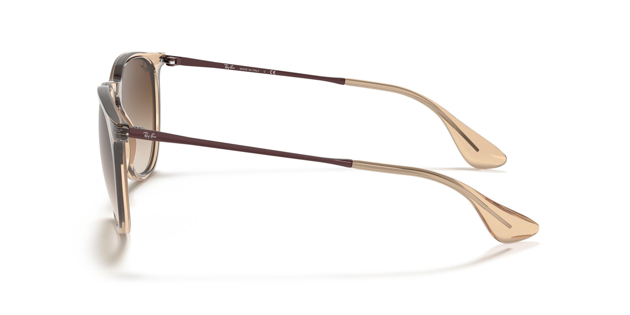 651413 - Light Brown - Brown Gradient Dark Brown