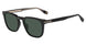 Police SPLR74 Sunglasses