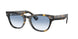 13323F - Havana - Clear Gradient Blue
