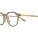 006 - Brown - Transparent