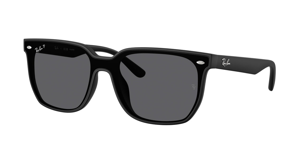 601S81 - Black - Polarized Grey