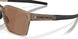 943004 - Brown - Prizm Tungsten Polarized