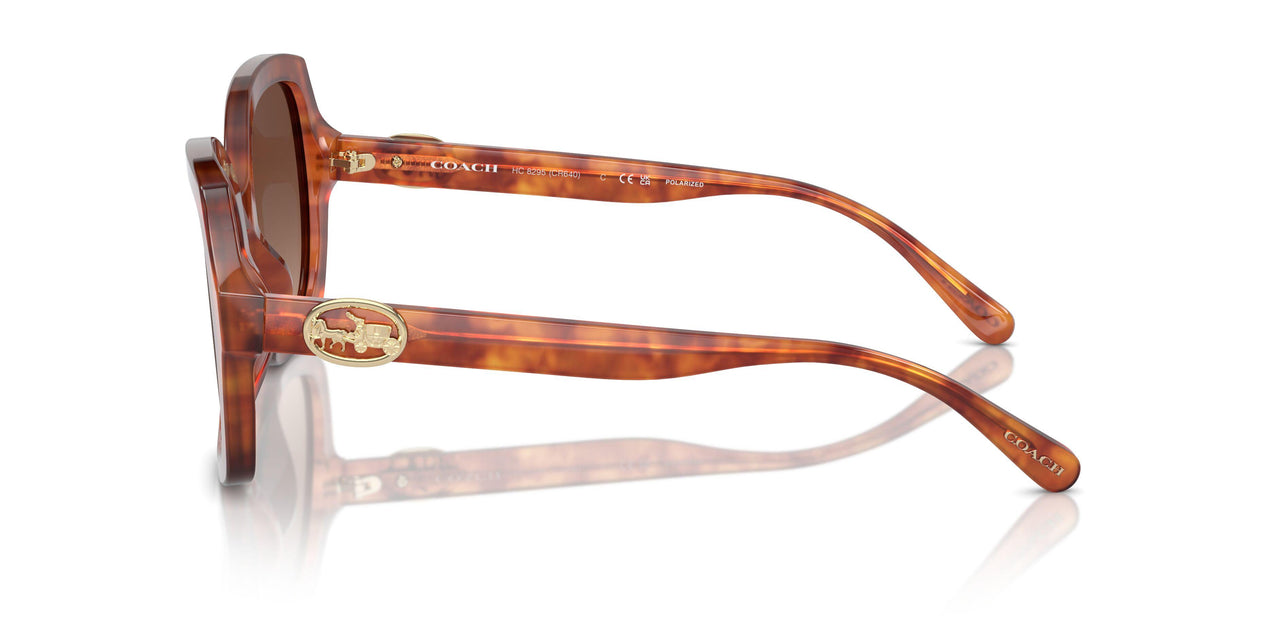 5774T5 - Tortoise - Brown Gradient Polarized