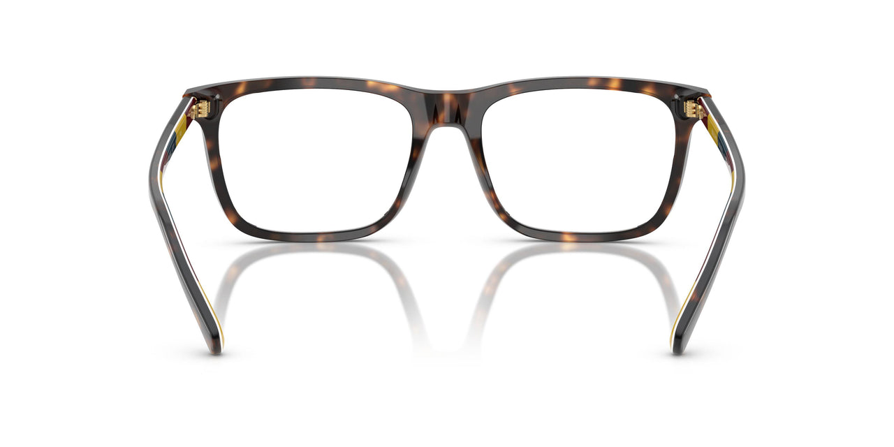 6212 - Tortoise