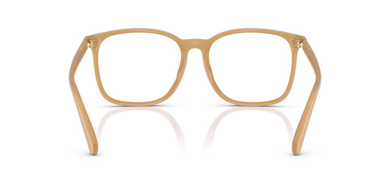 5854 - Brown