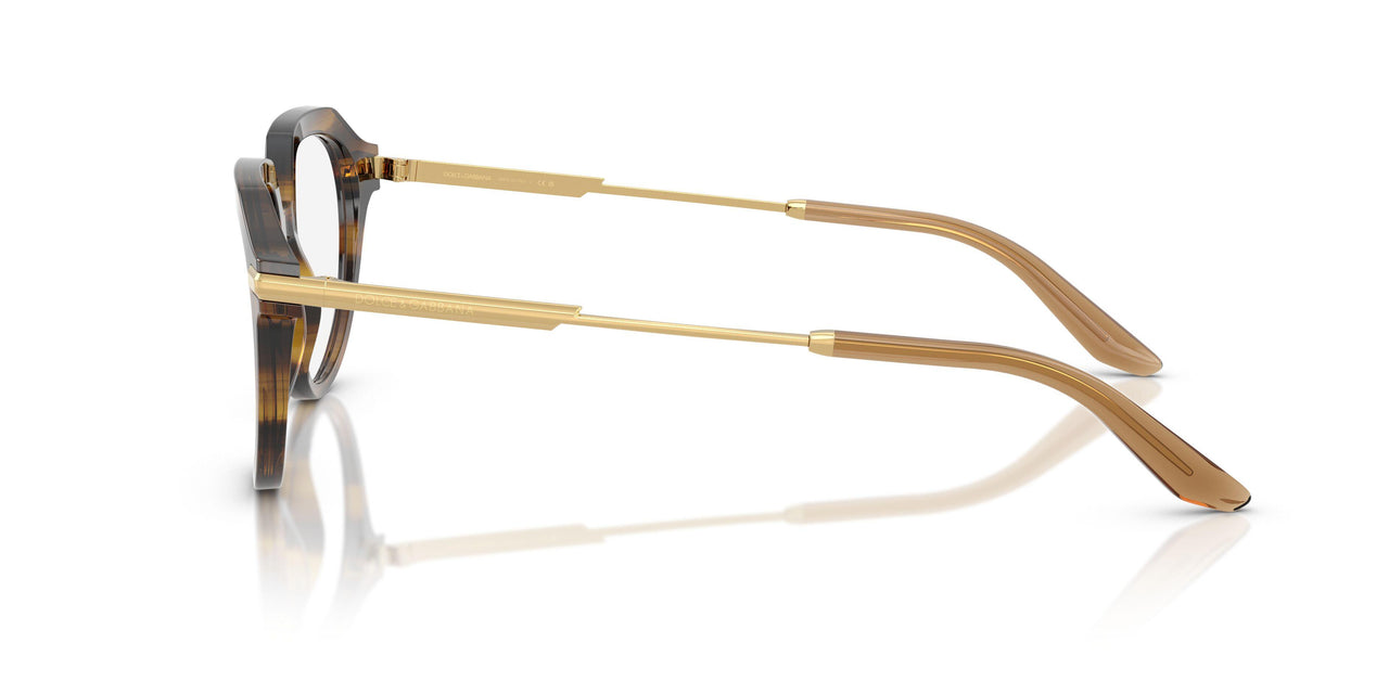 3446 - Brown