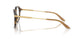 3446 - Brown