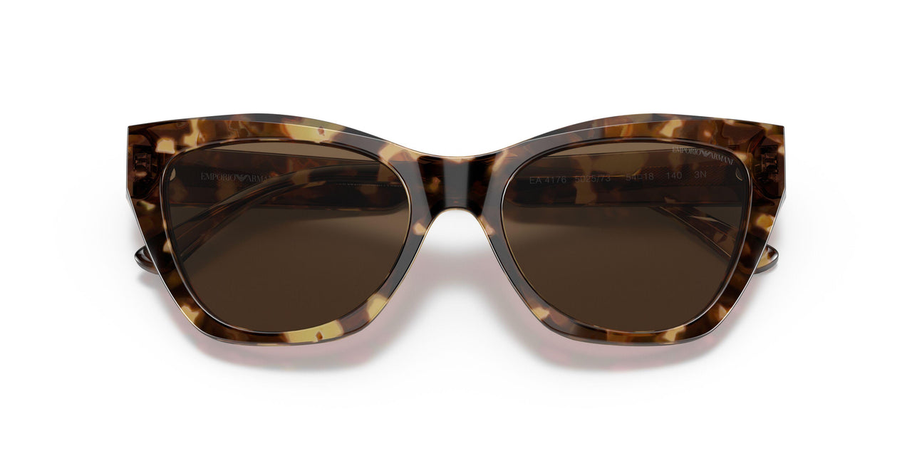 502573 - Havana - Brown