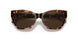 502573 - Havana - Brown