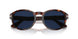 24/GG - Havana - Transitions 8 Sapphire