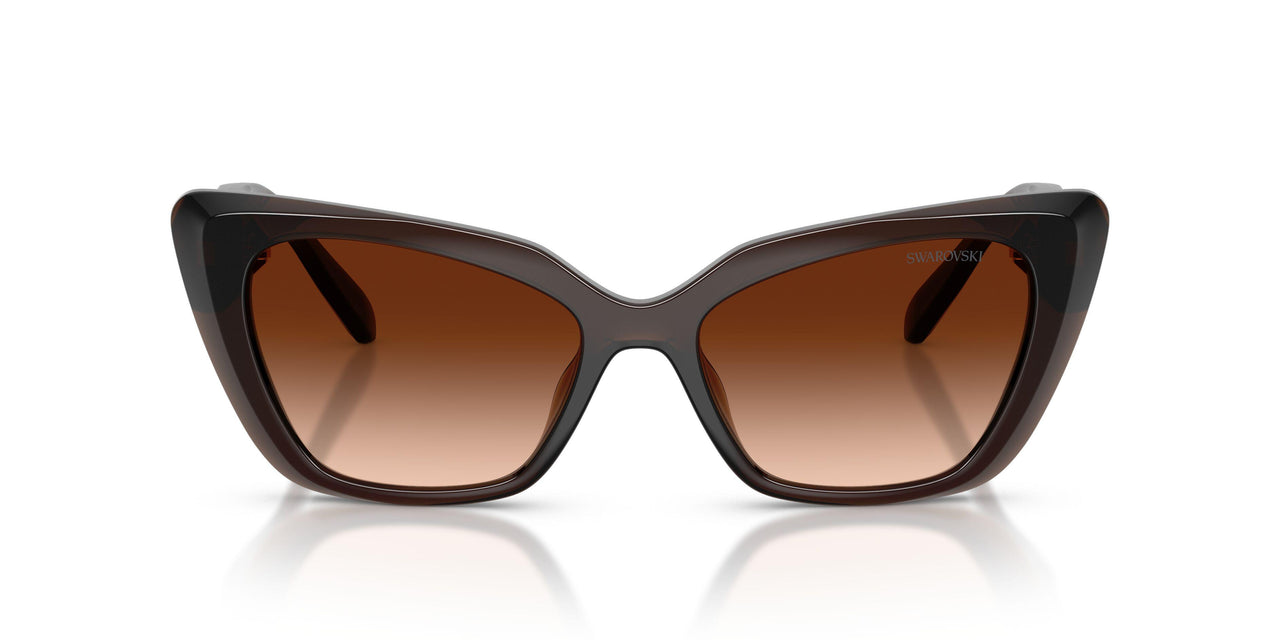 108474 - Brown - Brown Gradient