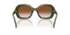 328713 - Green - Brown Gradient