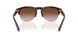 622113 - Red - Gradient Brown