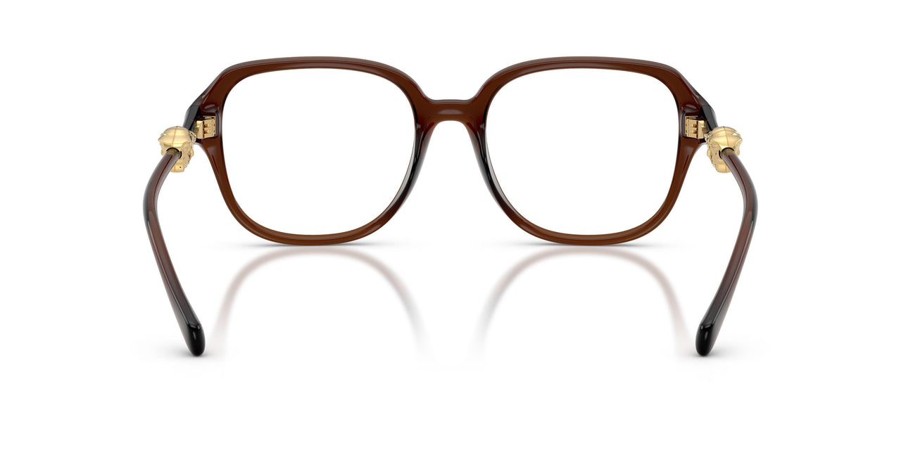 5534 - Brown