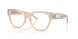 5025 - Brown