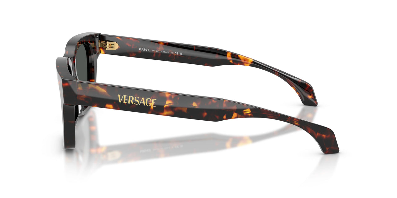 550987 - Tortoise - Dark Grey