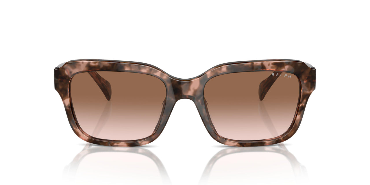 605813 - Pink - Gradient Brown