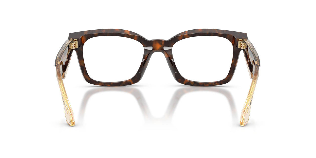 6231 - Tortoise