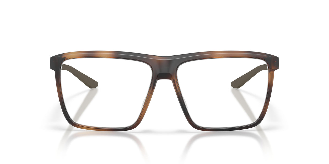 802904 - Tortoise