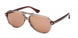 WEB 0368 Sunglasses