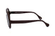 02 - BROWN