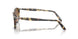 900551 - Tortoise - Brown Gradient