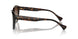 500313 - Brown - Gradient Brown