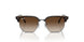 152/13 - Tortoise - Brown
