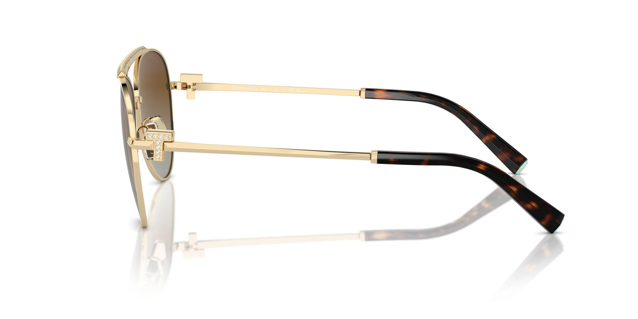 6208T5 - Gold - Polarized Brown Gradient