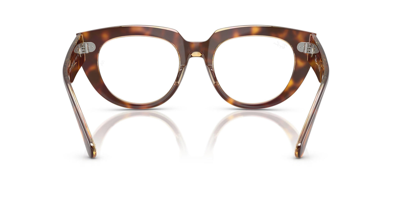 8402 - Tortoise - Clear