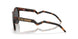 924218 - Tortoise - Prizm Black