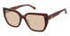 Ann Taylor TYAT360 Eyeglasses