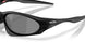 953901 - Black - Prizm Black