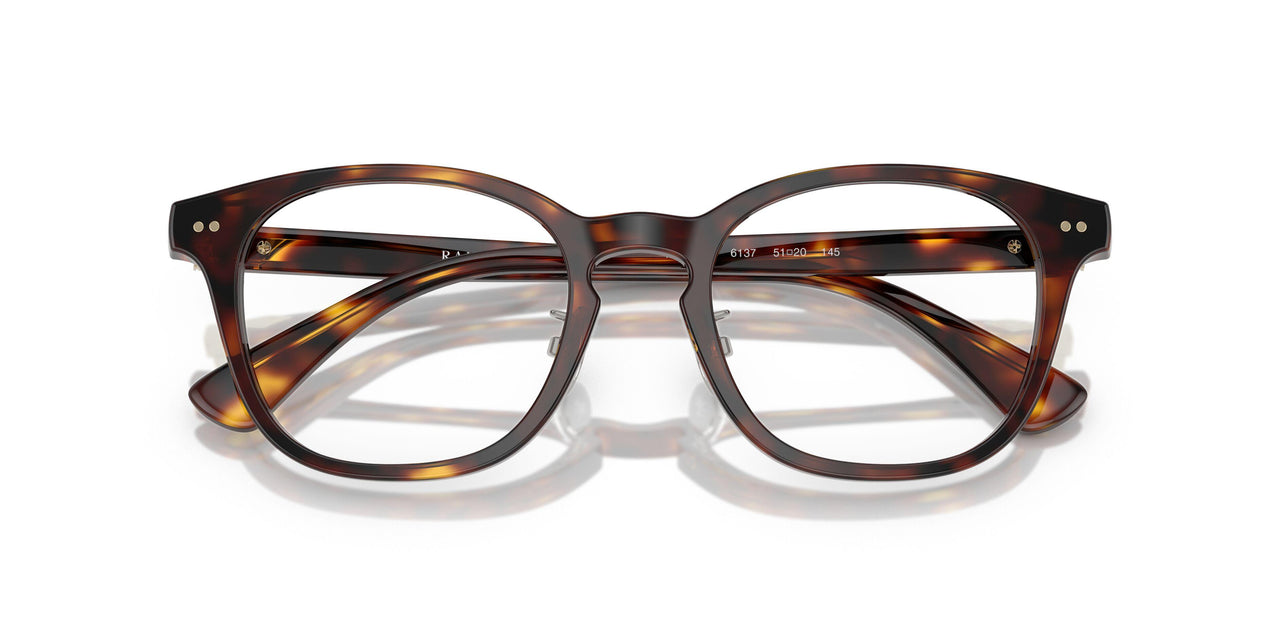 6137 - Tortoise