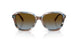 589913 - Blue - Brown Blue Gradient