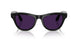 601/CH - Black - Clear/amethyst