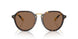 500373 - Tortoise - Dark Brown