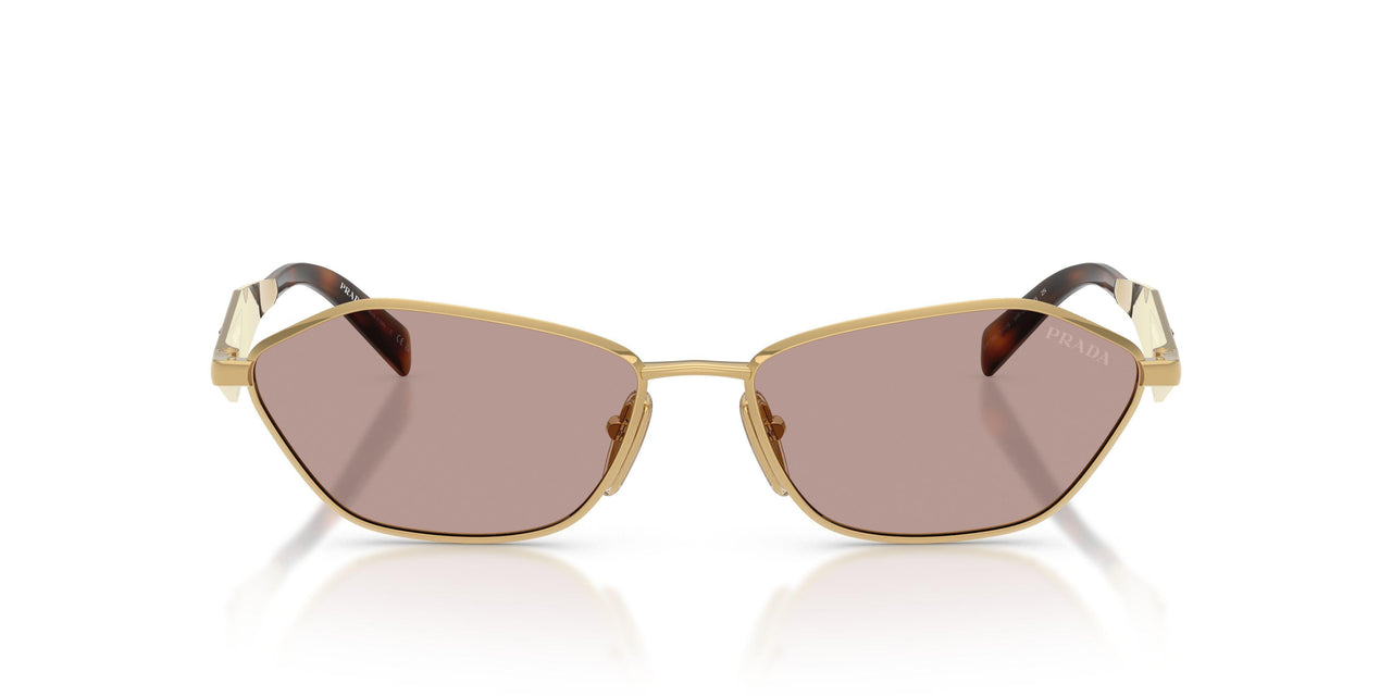 5AK20I - Gold - Light Purple Brown