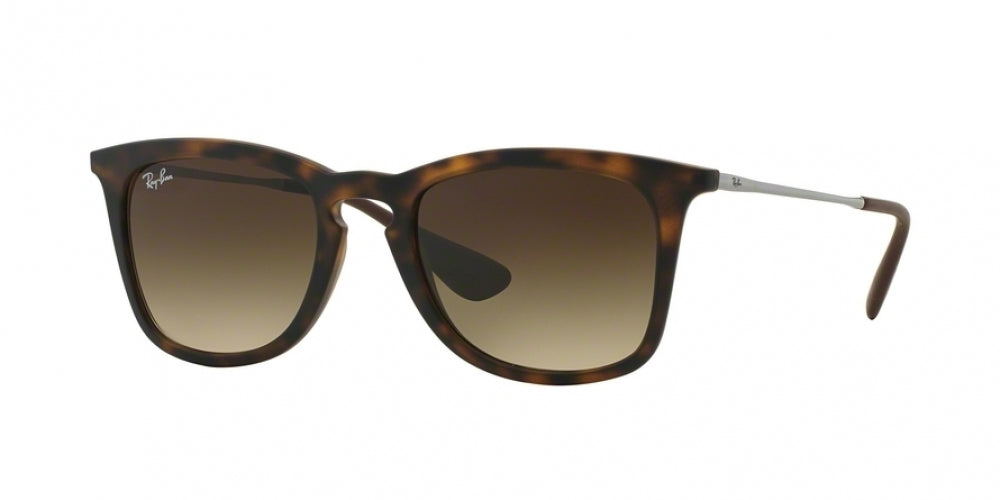 Ray-Ban 4221 Sunglasses
