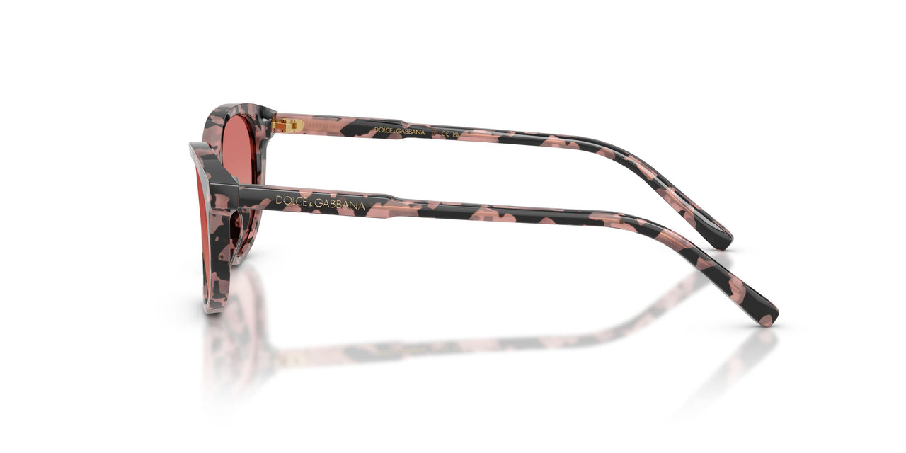 3476A5 - Tortoise - Pink Gradient Red