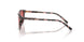 3476A5 - Tortoise - Pink Gradient Red