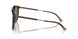 603773 - Tortoise - Dark Brown