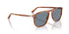 96/56 - Brown - Light Blue