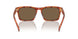 577473 - Tortoise - Brown Solid