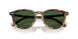 633971 - Tortoise - Bottle Green