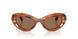 109173 - Brown - Dark Brown